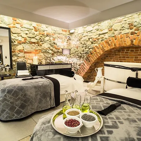 Hotel Zamek Topacz Wysoka (Wroclaw)